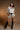 VESPER DOT SET